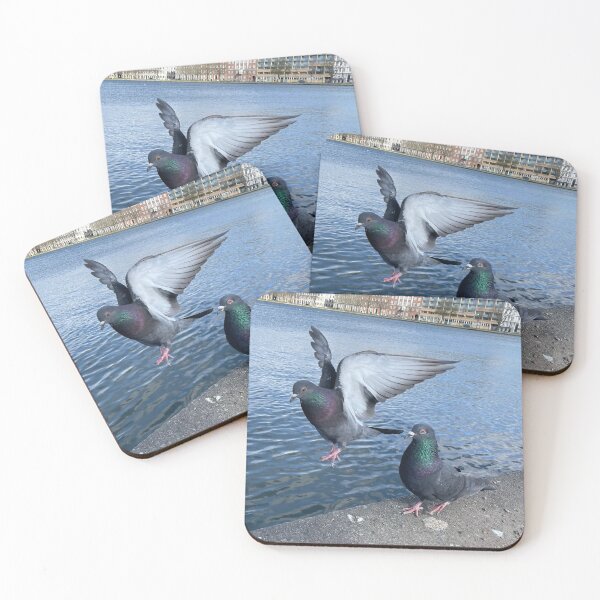 Item preview, Pigeons • Wings • 1 designed and sold by Mortinus.