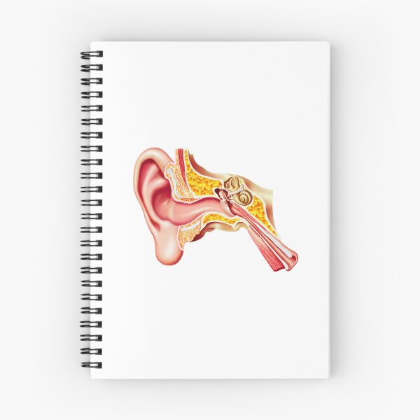 Item preview, Inner ear designed and sold by ArtistsZone.