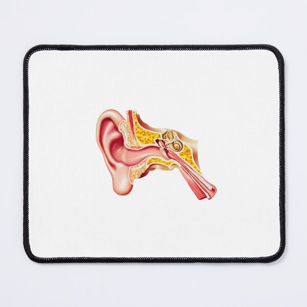 Item preview, Inner ear designed and sold by ArtistsZone.