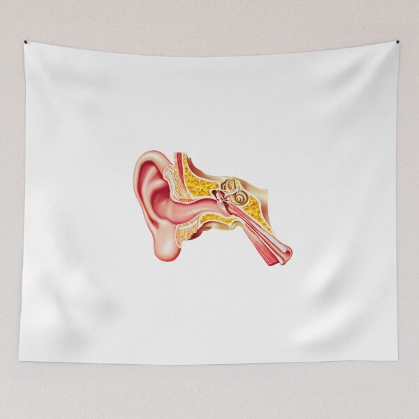 Item preview, Inner ear designed and sold by ArtistsZone.