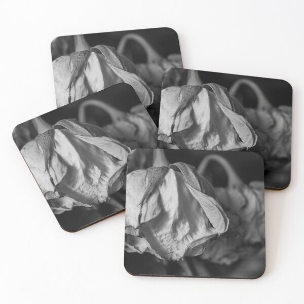 Item preview, Roses in Black and White designed and sold by Periscope9.