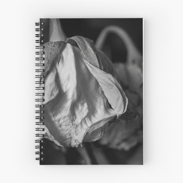 Item preview, Roses in Black and White designed and sold by Periscope9.