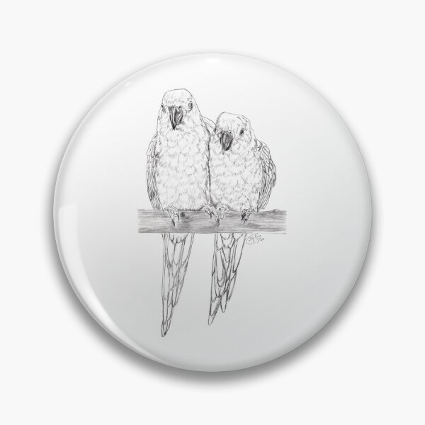 Aperçu de l'œuvre Conures soleil - version graphite créée et vendue par SylvieG18.