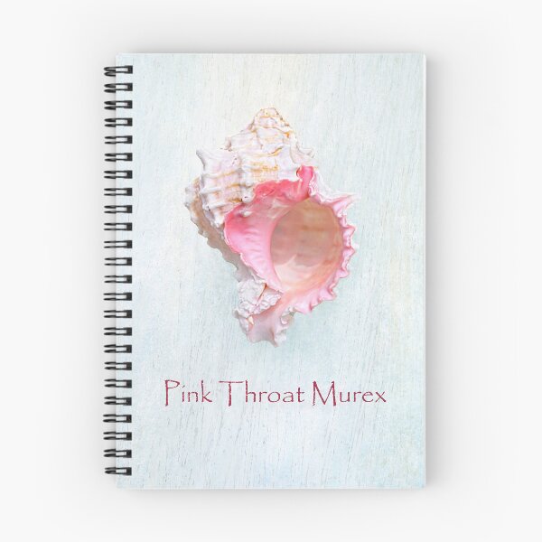 Item preview, Pink Throat Murex designed and sold by Kathilee.