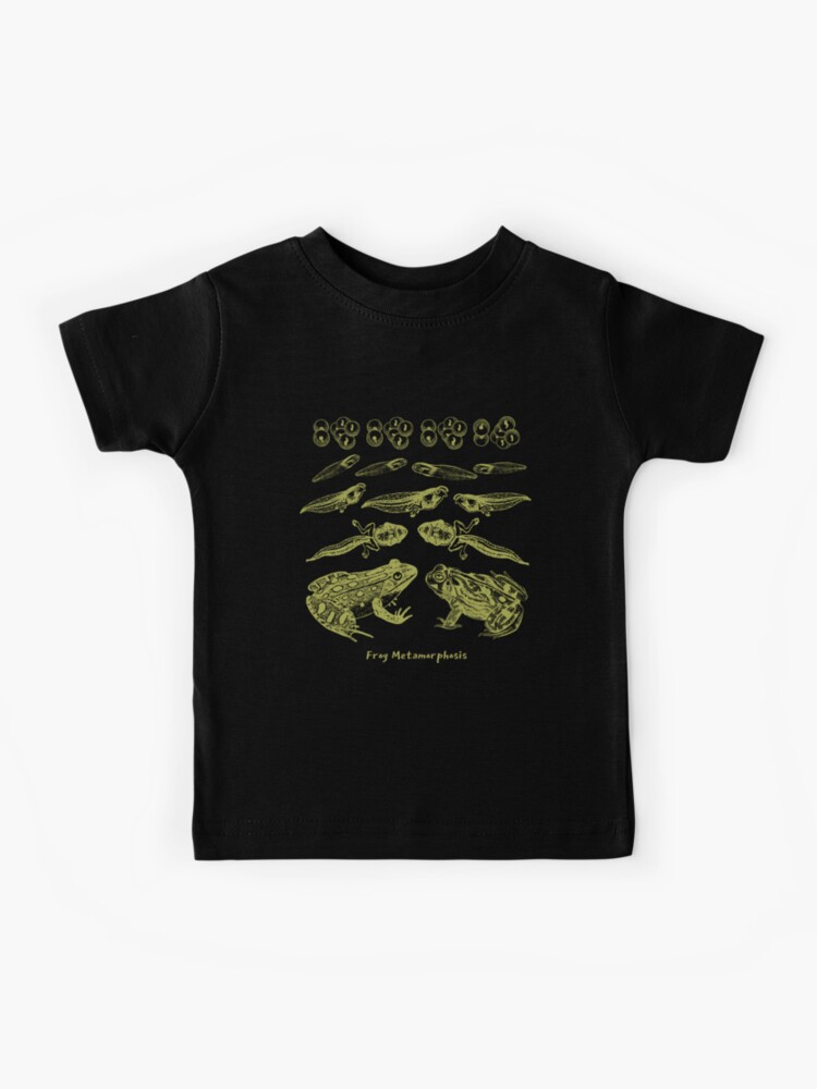 Vintage Frog Life Cycle Design: Toad Tadpole Metamorphosis for