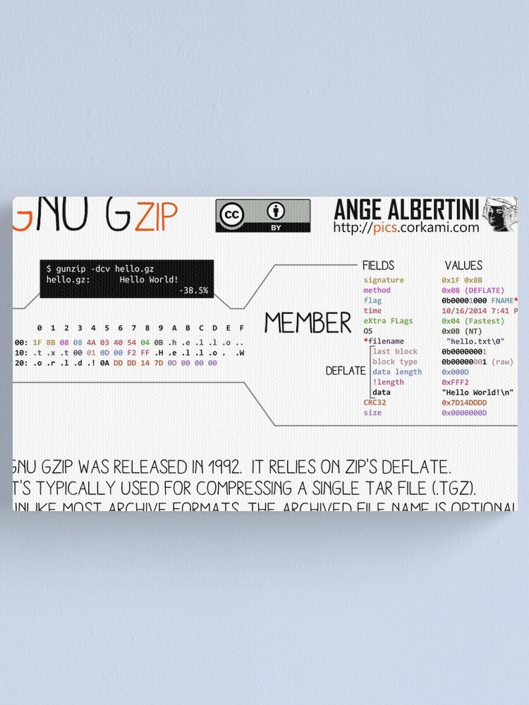 Alternate view of .GZ: GZIP Canvas Print