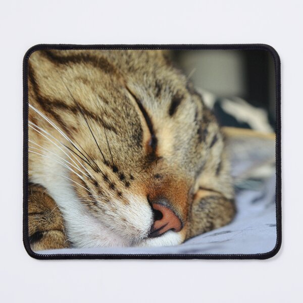 Item preview, Sleeping Cat designed and sold by Lauren Galanty.