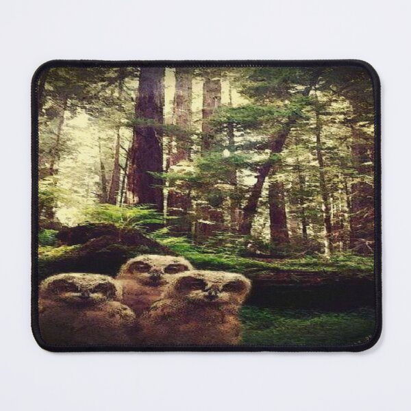 Item preview, Hoos en el bosque? designed and sold by EARTH ANGEL 888.