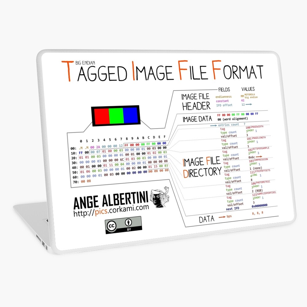.TIFF : Tagged Image File Format (big endian) Laptop Skin