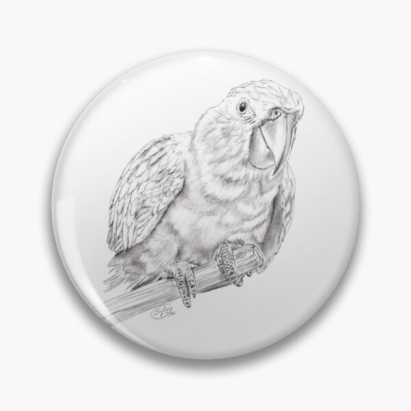 Item preview, Golden conure - graphite version designed and sold by SylvieG18.