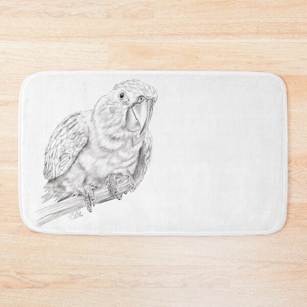 Aperçu de l'œuvre Conure dorée - version graphite créée et vendue par SylvieG18.