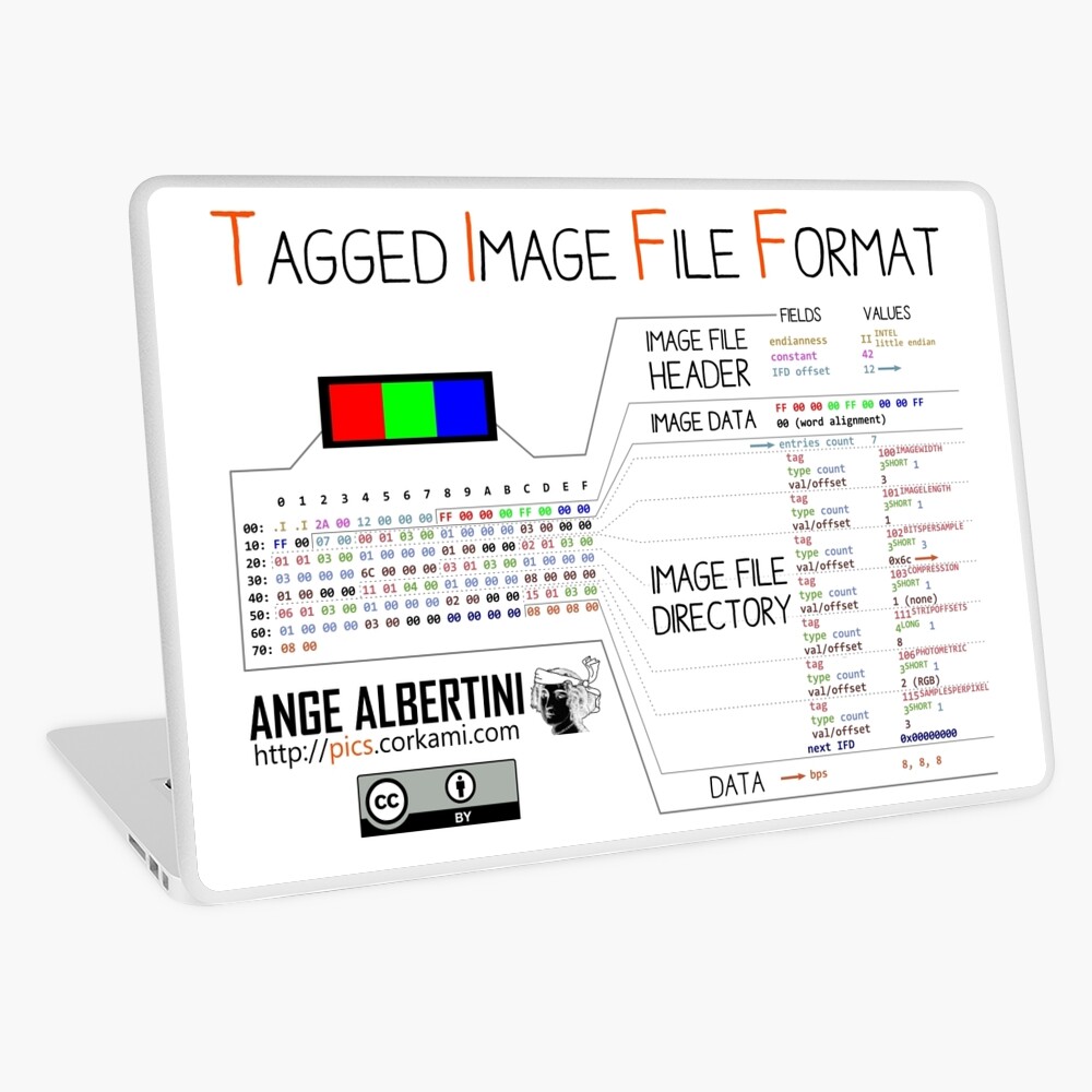 .TIFF : Tagged Image File Format (little endian) Laptop Skin