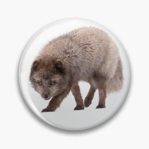 Item preview, When you're the handsomest fox in the valley designed and sold by Anthony Brewer.