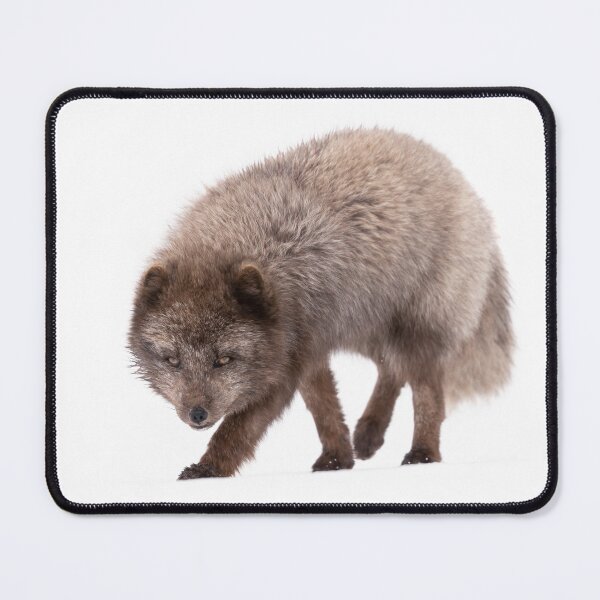 Item preview, When you're the handsomest fox in the valley designed and sold by Anthony Brewer.