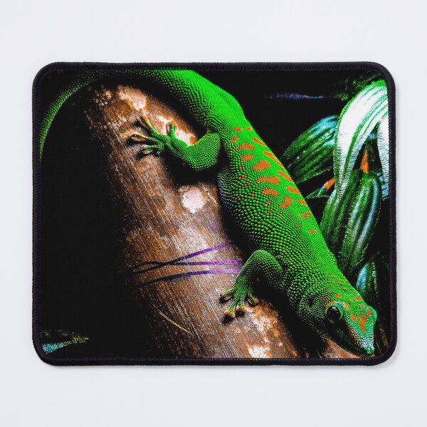 Item preview, Madagascar Gheko designed and sold by saravana.