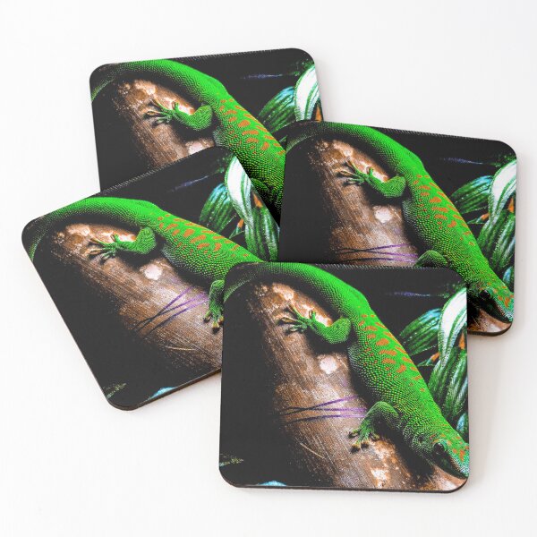 Item preview, Madagascar Gheko designed and sold by saravana.