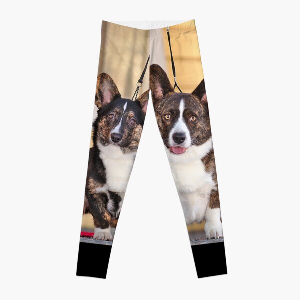 Corgis Leggings