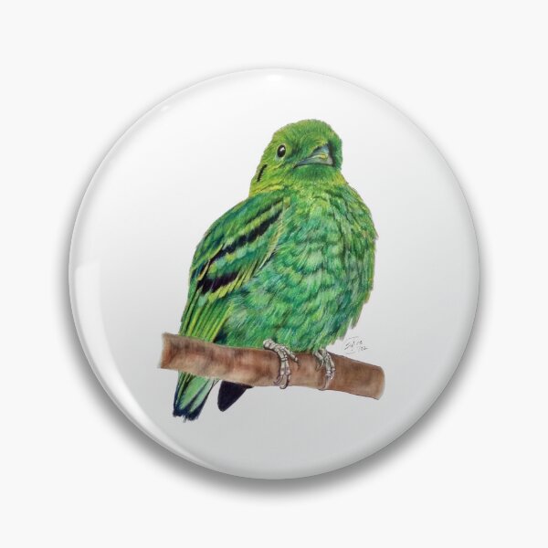 Item preview, Green Eurylaime - pastel version designed and sold by SylvieG18.
