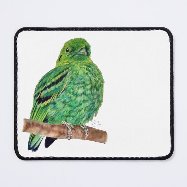 Item preview, Green Eurylaime - pastel version designed and sold by SylvieG18.