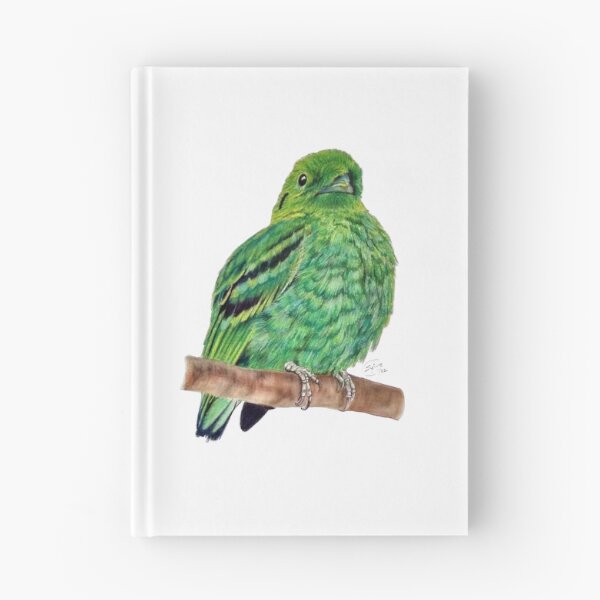Item preview, Green Eurylaime - pastel version designed and sold by SylvieG18.