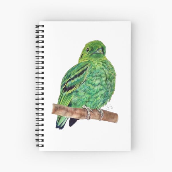 Item preview, Green Eurylaime - pastel version designed and sold by SylvieG18.