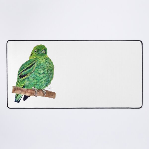Item preview, Green Eurylaime - pastel version designed and sold by SylvieG18.