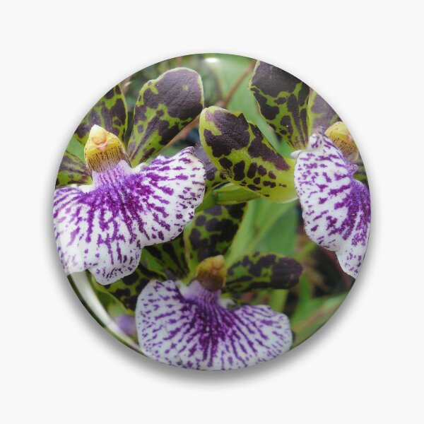 Artikelvorschau, Orchideen entworfen und verkauft von Jane Girardot.