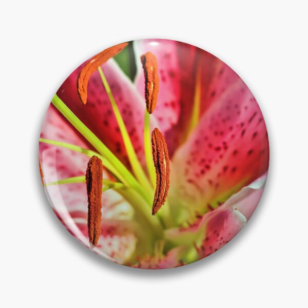 Item preview, Stargazer Lily designed and sold by Jane Girardot.