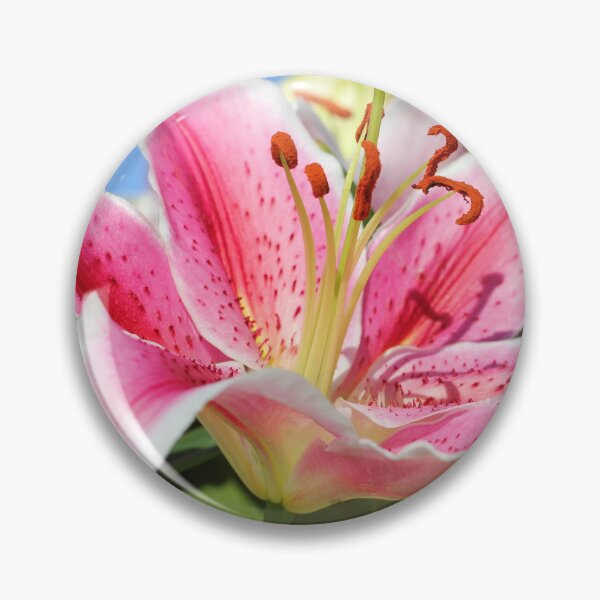 Item preview, Stargazer Lily designed and sold by Jane Girardot.