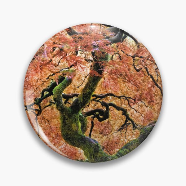Item preview, Japanese Maple at Portland's Japanese Gardens designed and sold by Jane Girardot.
