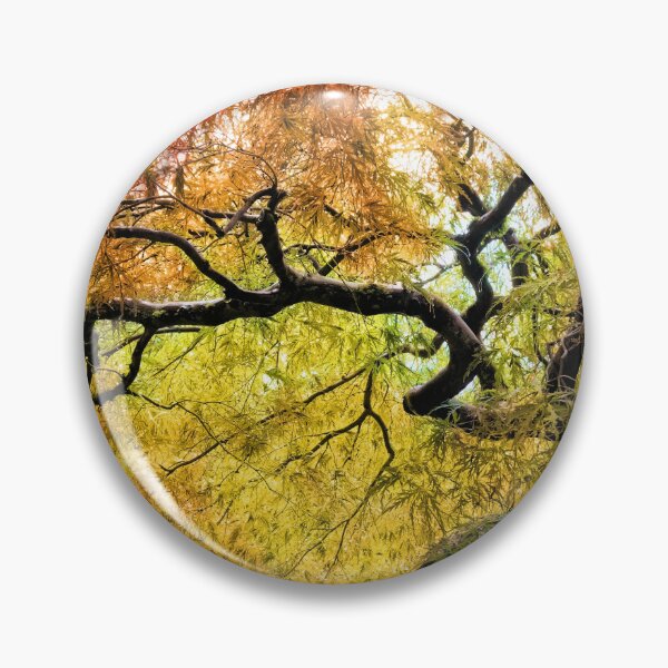 Item preview, Japanese Maple at Portland's Japanese Gardens designed and sold by Jane Girardot.
