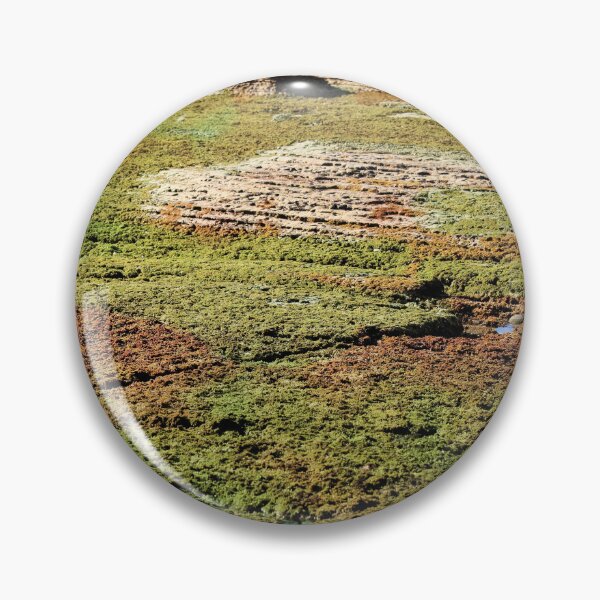 Item preview, Tidepools Sunset Cliffs designed and sold by Jane Girardot.