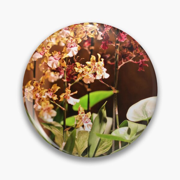 Item preview, Orchid Arrangement designed and sold by Jane Girardot.
