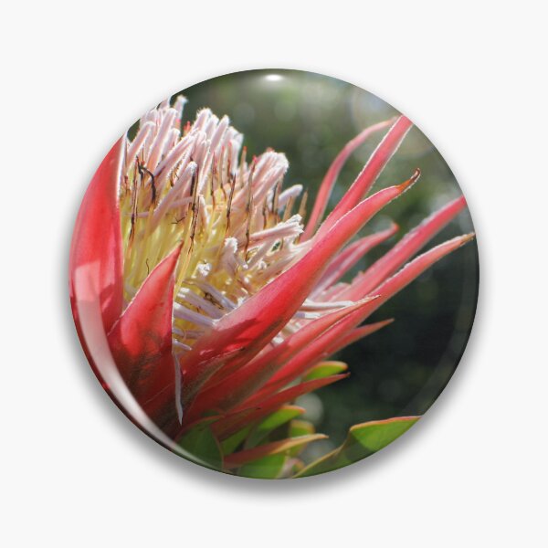 Item preview, Floral Bloom designed and sold by Jane Girardot.