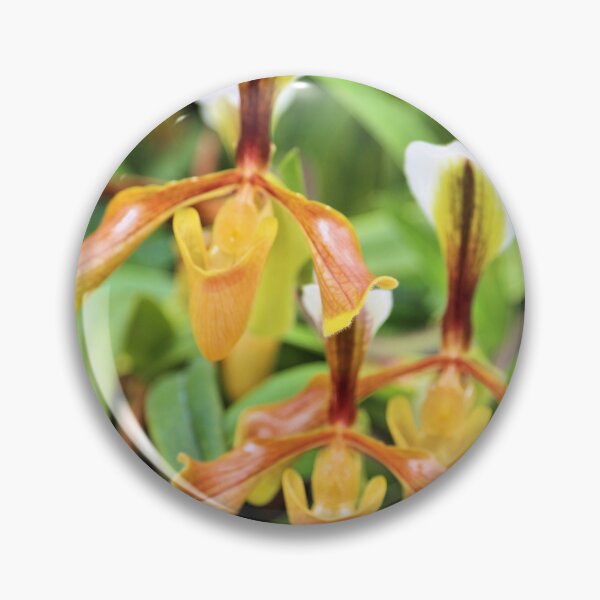 Item preview, Orchids designed and sold by Jane Girardot.