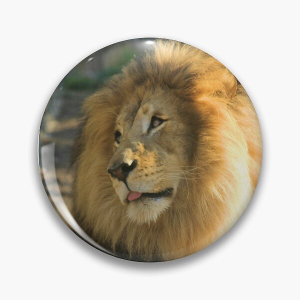 Item preview, Lion Posing designed and sold by Jane Girardot.