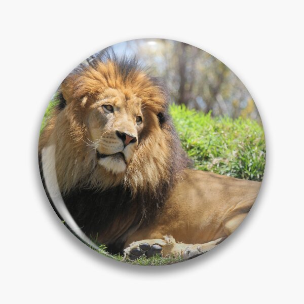Item preview, Lion Resting designed and sold by Jane Girardot.