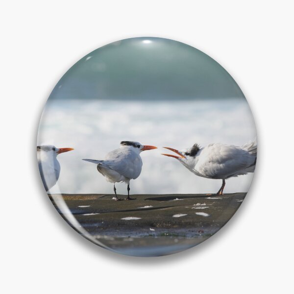 Item preview, Shorebirds designed and sold by Jane Girardot.