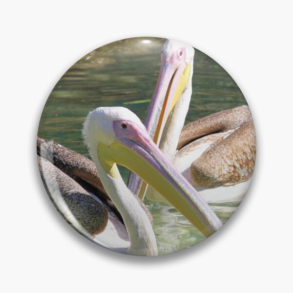 Item preview, Pelicans Swimming designed and sold by Jane Girardot.