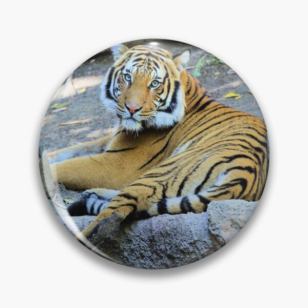 Item preview, Tiger resting designed and sold by Jane Girardot.
