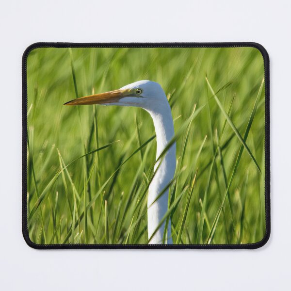 Item preview, Great White Egret designed and sold by CarolM.