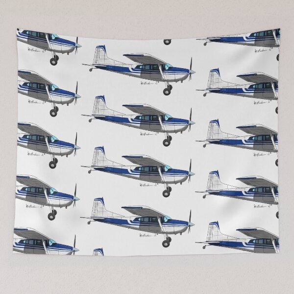 Item preview, Cessna Sky wagon N789Z designed and sold by Michael Garber.