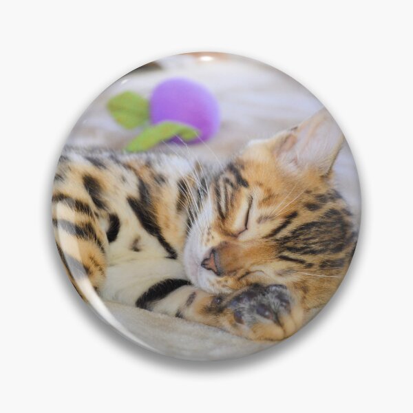 Item preview, Bengal Kitten Sleeping designed and sold by Jane Girardot.