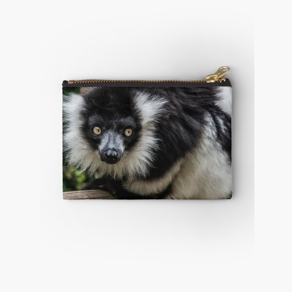 Artikelvorschau, Lemur hockend entworfen und verkauft von GeordieBoi.