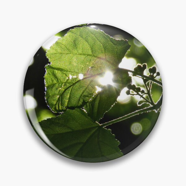 Item preview, Sun Beam designed and sold by Lauren Galanty.