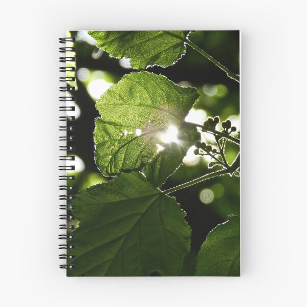 Item preview, Sun Beam designed and sold by Lauren Galanty.