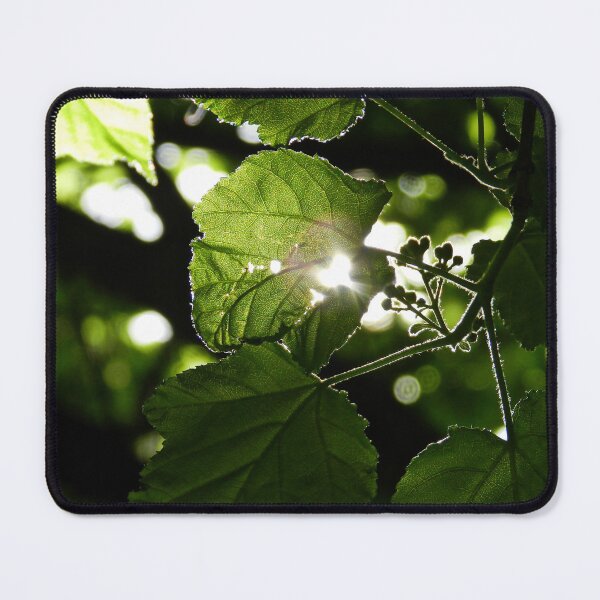 Item preview, Sun Beam designed and sold by Lauren Galanty.