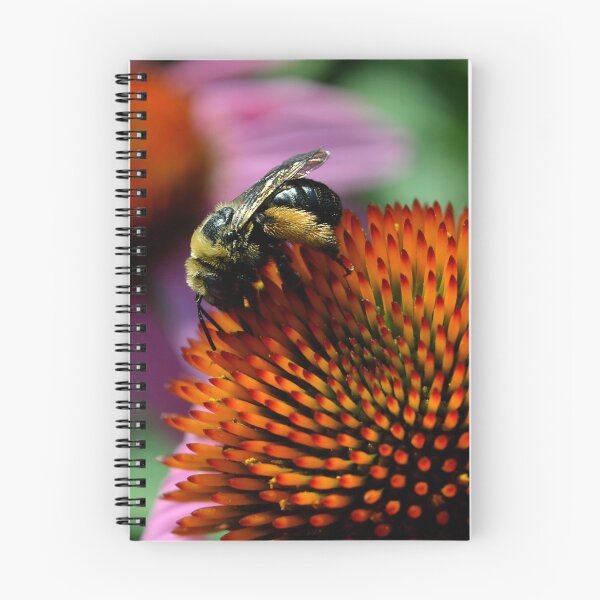 Item preview, Bee on Flower designed and sold by Lauren Galanty.