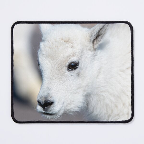 Item preview, Babby designed and sold by Greg Birkett.