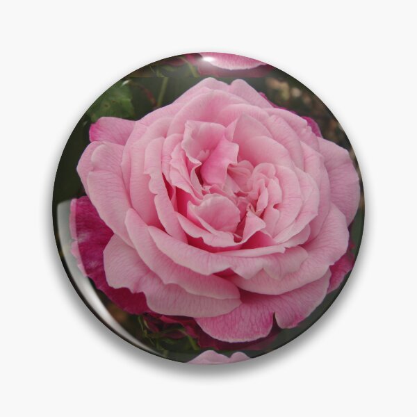 Item preview, Rose Flower Pink Two Tone designed and sold by Sarah  Rajkotwala.